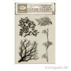 Artikelbild 2 des Artikels “Stamperia Acrylic Stamps - Herbarium Silvae Tree Branches “