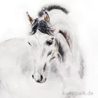 Artikelbild 2 des Artikels “Talens REMBRANDT Aquarellfarben “