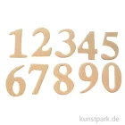 Artikelbild 2 des Artikels “Zahlen aus Pappe, 2 x 10 Nummern, Höhe 40 mm “