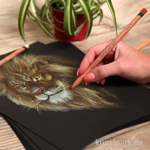 Artikelbild 2 des Artikels “Derwent LIGHTFAST Farbstift einzeln “