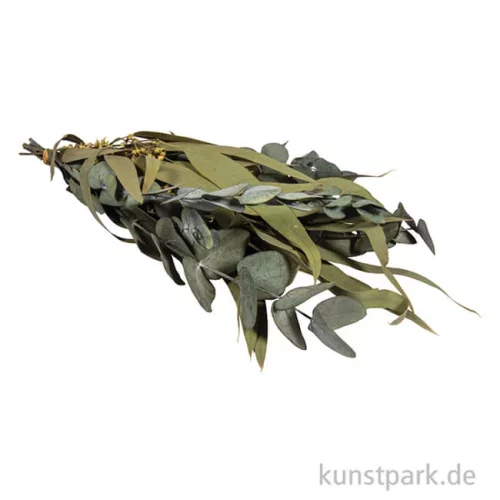 Artikelbild 2 des Artikels “Eukalyptus Bund mit Papiermanschette, 30-35 cm “