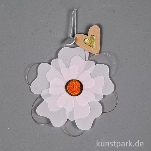 Artikelbild 2 des Artikels “Good old friends - Blütentraum, Rosa, Pompom Senf “