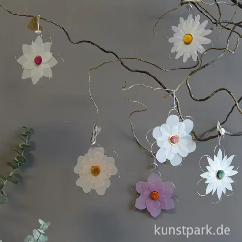 Artikelbild 2 des Artikels “Good old friends - Blütentraum, Weiß, Pompom Pink “