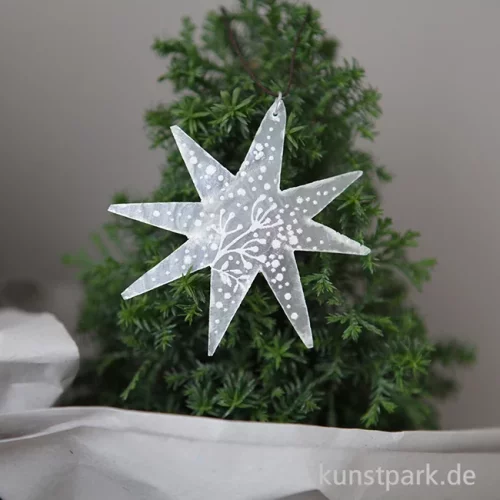 Artikelbild 2 des Artikels “Good old friends - Capizstern, Silber, Schnee, Zweig “