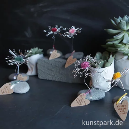 Artikelbild 2 des Artikels “Good old friends - Glücksblume, Stein Petrol “