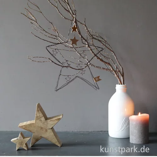 Artikelbild 2 des Artikels “Good old friends - Große Schmucksterne, Sterne “