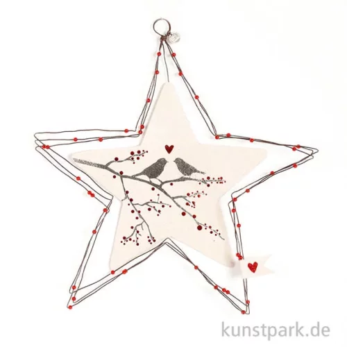Artikelbild 2 des Artikels “Good old friends - Große Schmucksterne, Wintervögel “