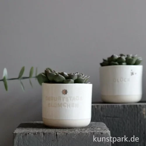 Artikelbild 2 des Artikels “Good old friends - Mini Blumentopf, Geburtstagsblümchen “