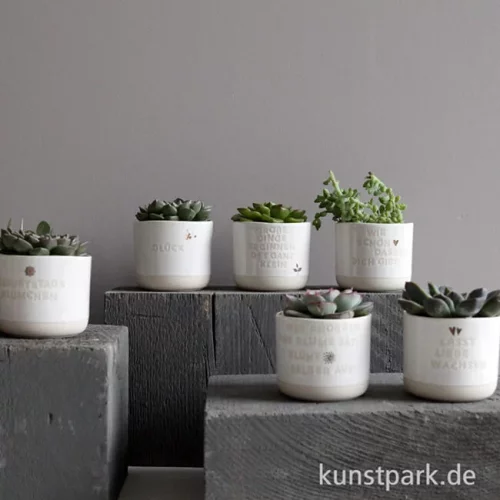 Artikelbild 2 des Artikels “Good old friends - Mini Blumentopf, Wie schön, dass es Dich gibt “