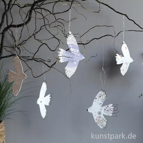 Artikelbild 2 des Artikels “Good old friends - Seelenvogel, Jeder sollte jemanden haben “