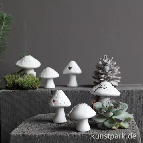 Artikelbild 2 des Artikels “Good old friends - Winter Glückspilz, Goldstern “