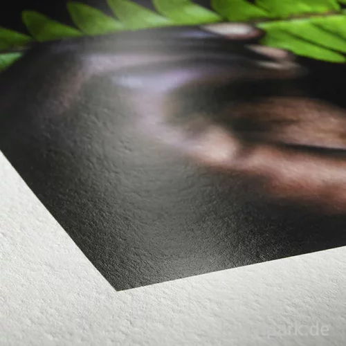Artikelbild 2 des Artikels “Hahnemühle Photo Rag Pearl, 320 g/m², 12m Rolle “