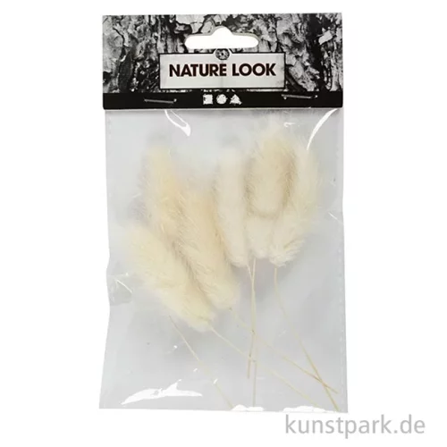Artikelbild 2 des Artikels “Helles Federgras, 6 Stück im Set, Länge etwa 3 bis 7 cm “
