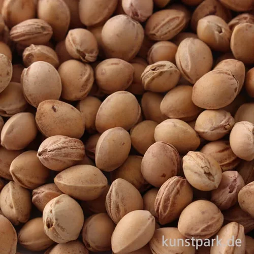 Artikelbild 2 des Artikels “Kirschkerne - gewaschen, 500 g “