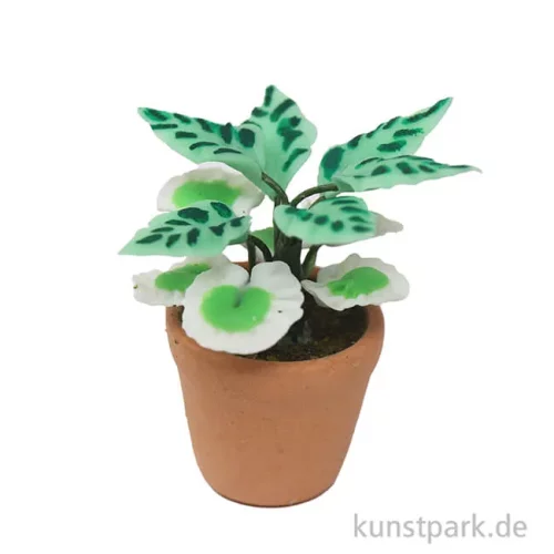 Artikelbild 2 des Artikels “Miniatur Grünpflanze im Topf, sortiert, 3 cm “
