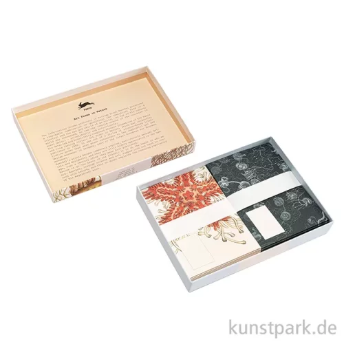 Artikelbild 2 des Artikels “PEPIN Korrespondenz Set - Art Forms in Nature “