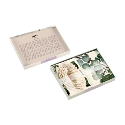 Artikelbild 2 des Artikels “PEPIN Korrespondenz Set - Botanical “