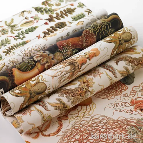 Artikelbild 2 des Artikels “PEPIN Kreativpapier Buch - Art Forms in Nature “