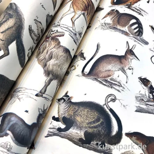 Artikelbild 2 des Artikels “PEPIN Kreativpapier Buch - Fauna “