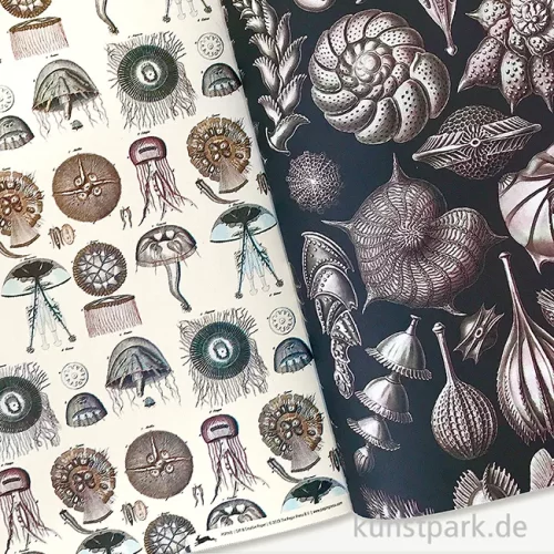 Artikelbild 2 des Artikels “PEPIN Kreativpapier Buch - Marine “