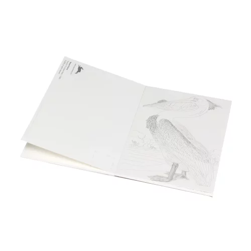 Artikelbild 2 des Artikels “PEPIN Watercolor Postkarten Block - Natural History “