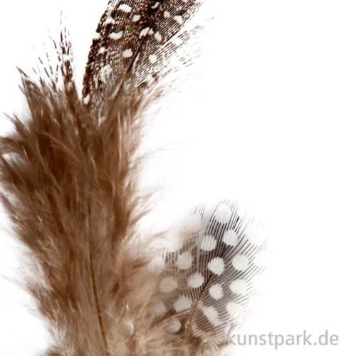 Artikelbild 2 des Artikels “Perlhuhnfedern - natur, 100 Stück “