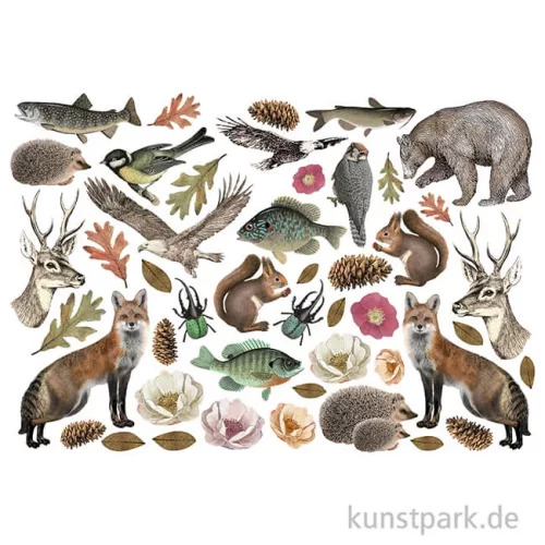 Artikelbild 2 des Artikels “Stamperia Ephemera Aufkleber - Forest “