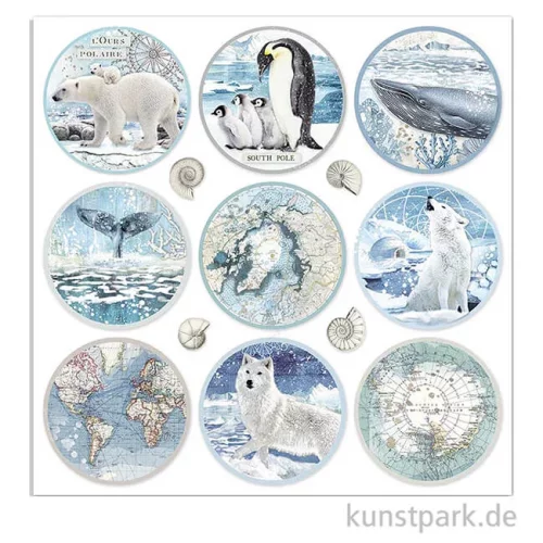 Artikelbild 2 des Artikels “Stamperia Scrappapier - Arctic Antarctic Paper Rounds, 30,5 x 30,5 cm “