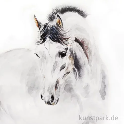 Artikelbild 2 des Artikels “Talens REMBRANDT Aquarellfarben “