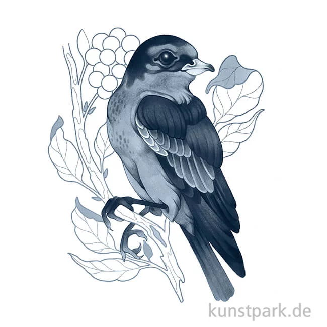 Artikelbild 3 des Artikels “COPIC ciao Shade Set - 4 Stifte, Dark Cool Gray “