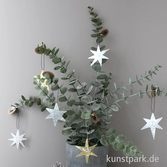 Artikelbild 3 des Artikels “Good old friends - Capizstern, Silber, Schnee, Zweig “