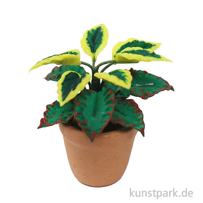 Artikelbild 3 des Artikels “Miniatur Grünpflanze im Topf, sortiert, 3 cm “
