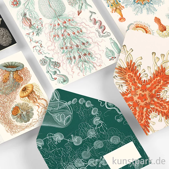 Artikelbild 3 des Artikels “PEPIN Korrespondenz Set - Art Forms in Nature “