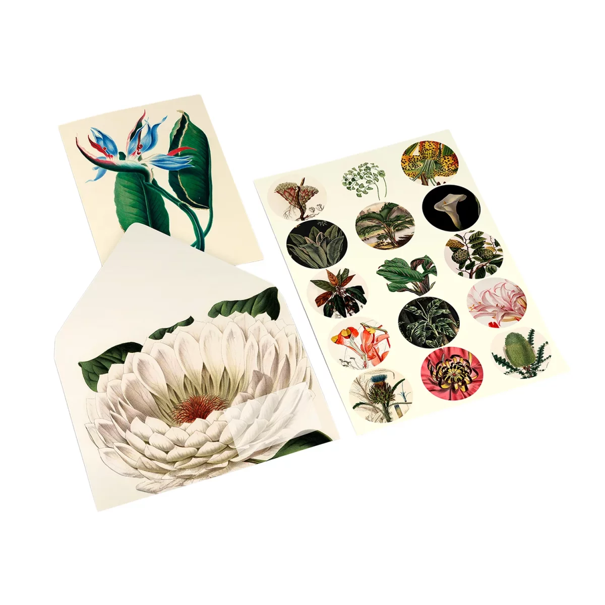 Artikelbild 3 des Artikels “PEPIN Korrespondenz Set - Botanical “