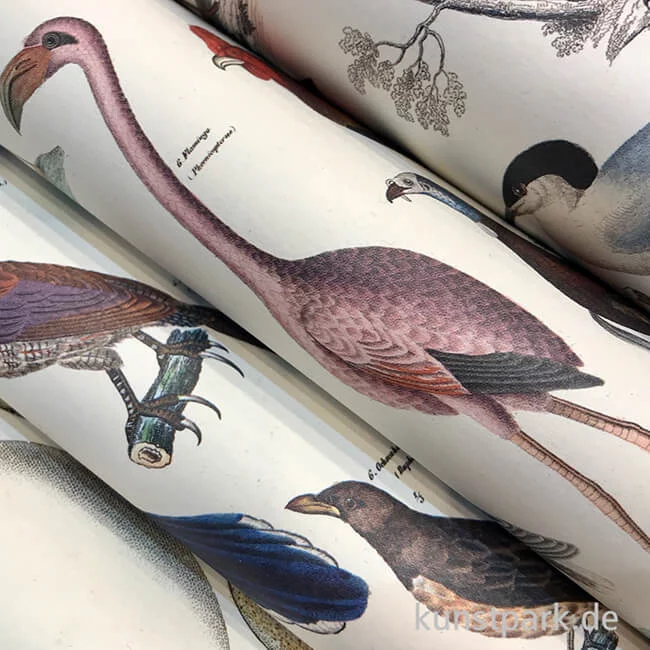Artikelbild 3 des Artikels “PEPIN Kreativpapier Buch - Fauna “