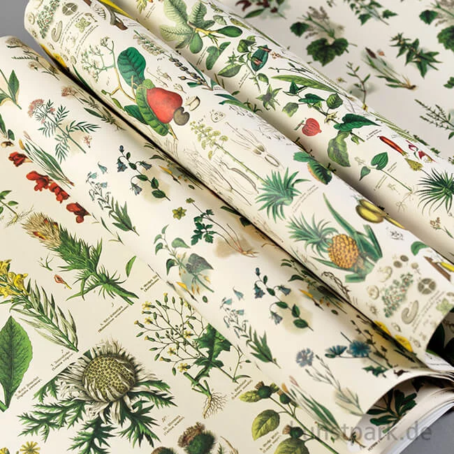 Artikelbild 3 des Artikels “PEPIN Kreativpapier Buch - Flora “