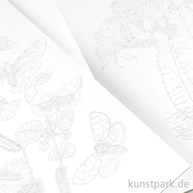 Artikelbild 3 des Artikels “PEPIN Künstler Malbuch - Natural History “