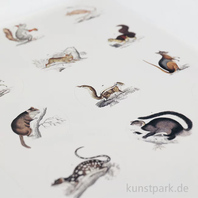 Artikelbild 3 des Artikels “PEPIN Labels, Sticker und Tapes - Fauna “