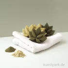 Artikelbild 3 des Artikels “DIY Set - Festes Shampoo selber machen “
