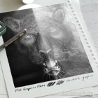 Artikelbild 3 des Artikels “Faber-Castell PITT Graphite Matt - 11er Set mit Zubehör im Metalletui “