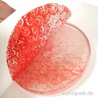 Artikelbild 3 des Artikels “Gelli Arts - Gel Printing Plate Rund 10 cm “