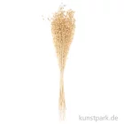 Artikelbild 3 des Artikels “Getrockneter Flachs Natur, 100 g als Bund “