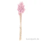 Artikelbild 3 des Artikels “Getrockneter Lagurus, 50 Stück Bund | Flieder“