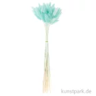 Artikelbild 3 des Artikels “Getrockneter Lagurus, 50 Stück Bund | Türkis“