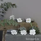 Artikelbild 3 des Artikels “Good old friends - Glückskleetaler, Glück “