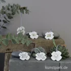 Artikelbild 3 des Artikels “Good old friends - Glückskleetaler, Herz “
