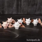 Artikelbild 3 des Artikels “Good old friends - Mini Schwein, Glück “