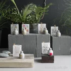 Artikelbild 3 des Artikels “Good old friends - Pummelhase, Dots, Goldene Streifen “