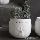 Artikelbild 3 des Artikels “Good old friends - Schutzlicht, Sonne “