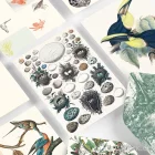 Artikelbild 3 des Artikels “PEPIN Korrespondenz Set - Natural History “